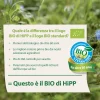 Crema Semolino Di Grano: Confezione 200 gr