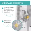 First Dreams Metro Crescita