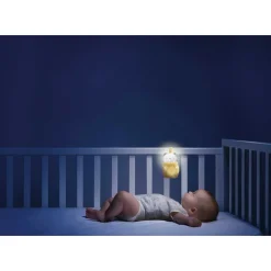 First Dreams Trillino Orso Day & Night
