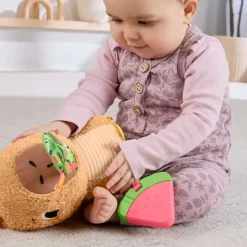 Marmotta Coccole E Merenda HYR54