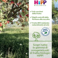 Omogeneizzato Tesori Di Frutta Mela Fragola Pera: Confezione 160 gr