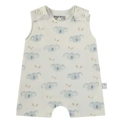 Pagliaccetto Bianco Koala 160425