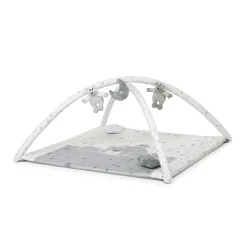 Palestrina Trainer (Copy )