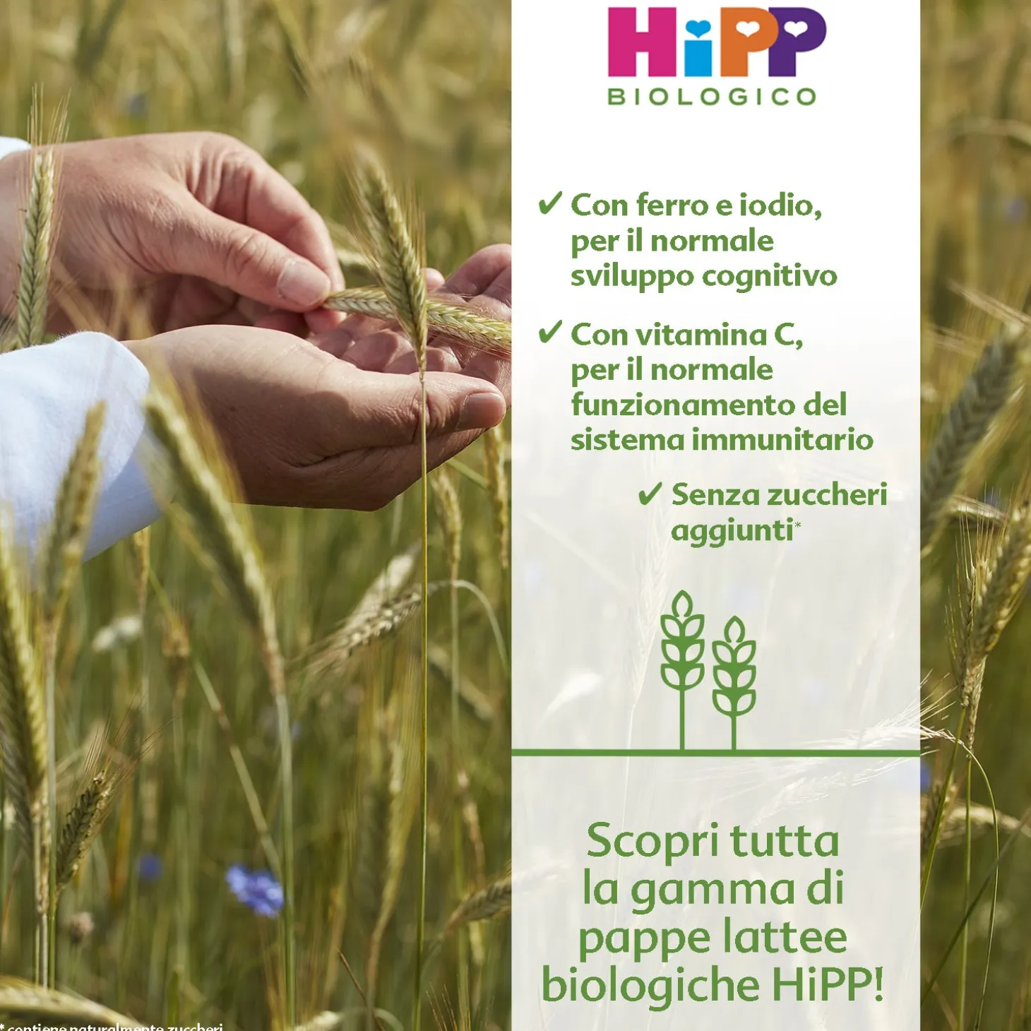 Pappa Lattea Frutta Mista: Confezione 250 gr
