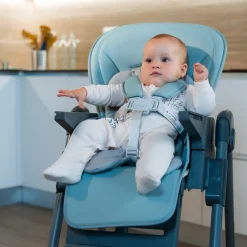 Seggiolone Pappa Maui