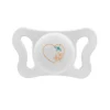 Succhietto PhysioForma Micro Eco 0/2 Mesi