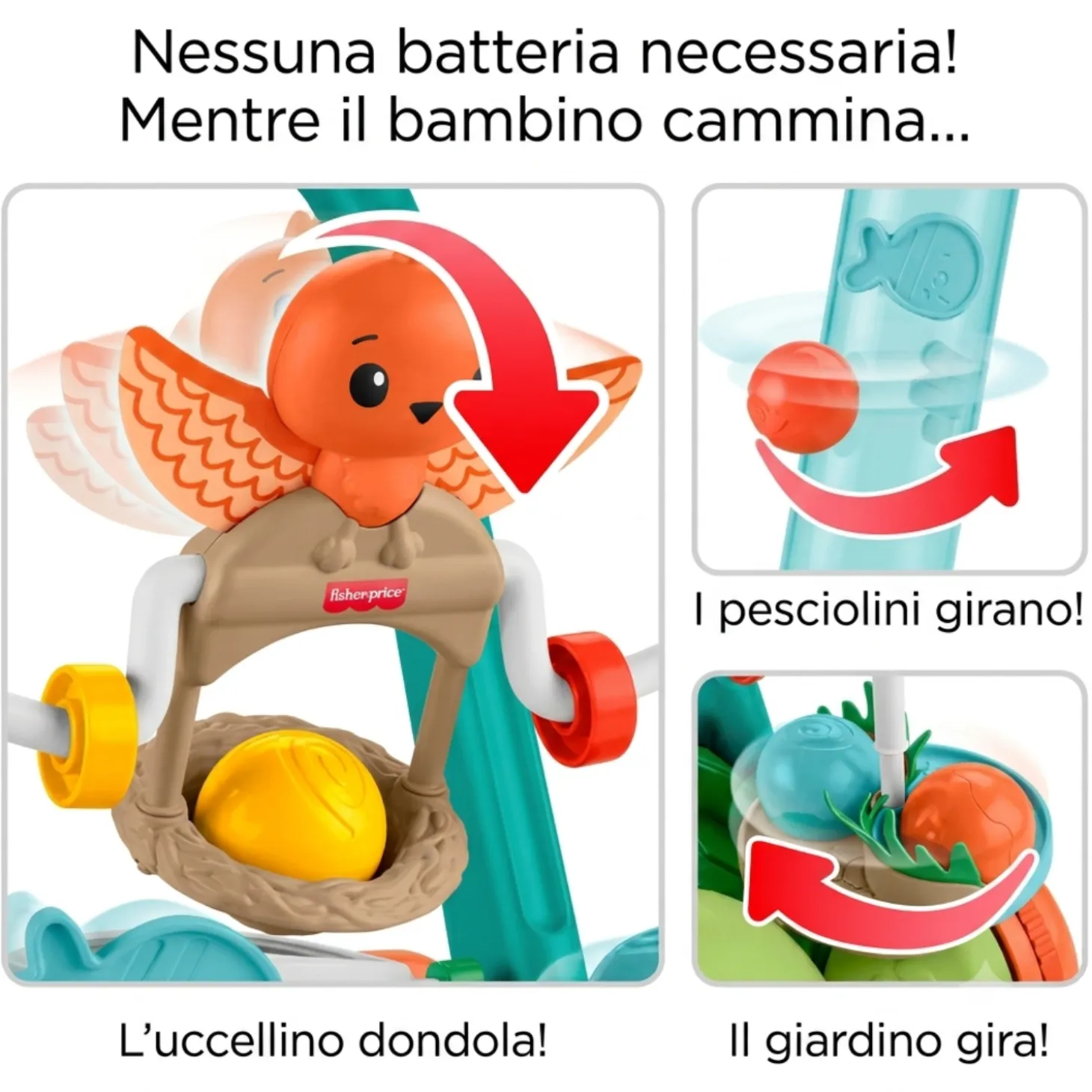 Tartaruga Primi Passi JKD63