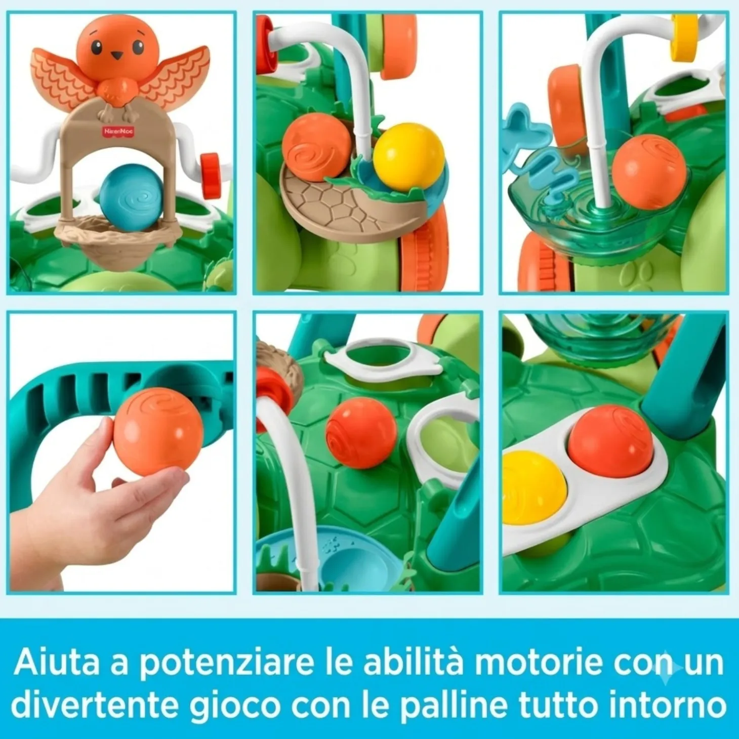 Tartaruga Primi Passi JKD63